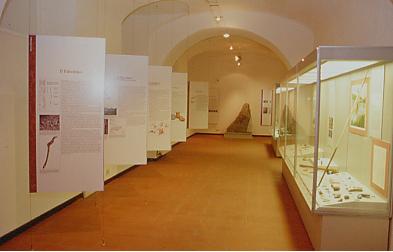  Palazzo Belgioioso, ingresso del Civico Museo Archeologico di Lecco