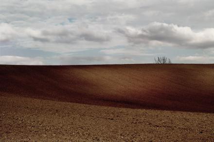 Dominique Laugé, La terre des hommes