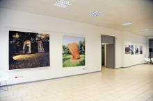 Esposizione, Sala Arianna, Maria Cristina Carlini - Irma Bianchi Comunicazione