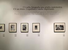 Irma Bianchi Comunicazione