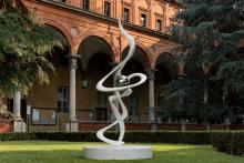 Colpo d'ala, 2023, Gianfranco Meggiato - Irma Bianchi Comunicazione