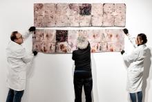 Allestimento, Renata Boero - Irma Bianchi Comunicazione
