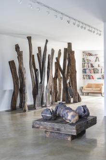 Fondazione Maria Cristina Carlini  - Irma Bianchi Comunicazione