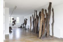 Fondazione Maria Cristina Carlini - Irma Bianchi Comunicazione