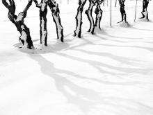 Ombre sulla neve, Casarsa, 1963, Elio Ciol - Irma Bianchi Comunicazione