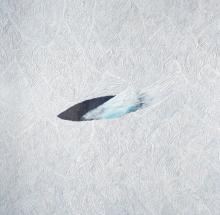 Natura Perduta, 2019, Ugo La Pietra - Irma Bianchi Comunicazione