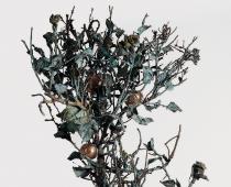  Alik Cavaliere, Albero per Adriana, 1970, dettaglio