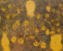 Miquel Barceló, Trois Tournesols, 1998, tecnica mista su tela, cm148x251