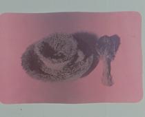 Meret Oppenheim, Poster della Tazza col pelo, 1971